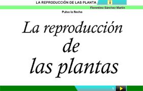 http://cplosangeles.juntaextremadura.net/web/edilim/curso_2/cmedio/plantas02/reproduccion_plantas02/reproduccion_plantas02.html