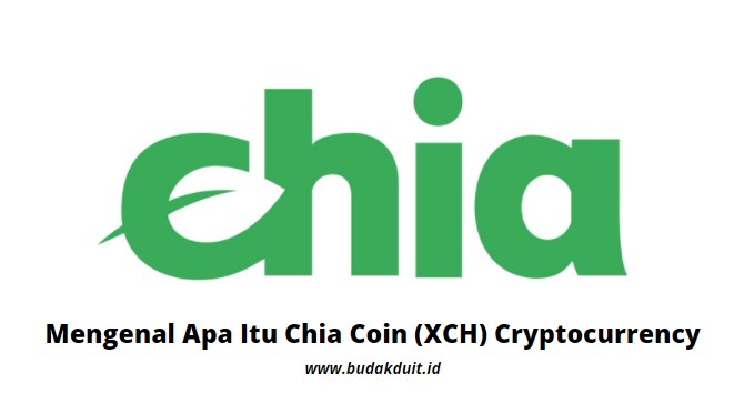 Mengenal Apa Itu Chia Coin Xch Cryptocurrency Budak Duit Indonesia
