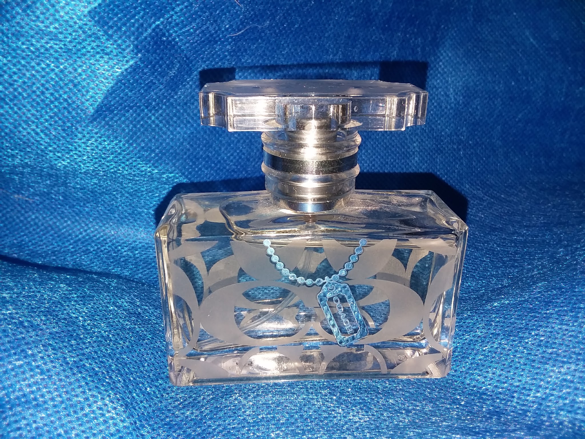 The Economically Thrifty Mommy Goodwill Find..... Coach Signature