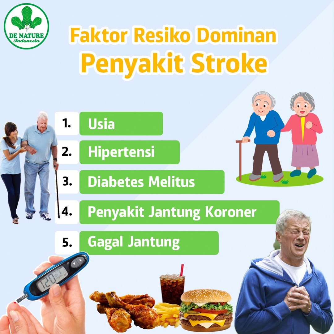Pengobatan Stroke