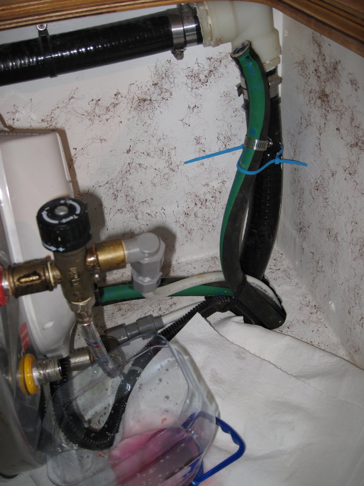 Sail with Bliss Water Heater Leak