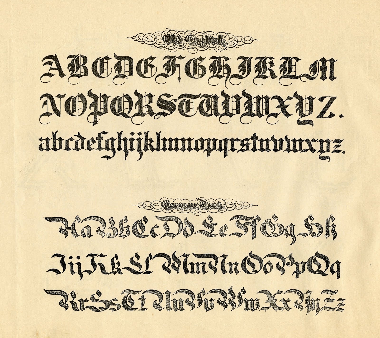 Calligraphy Alphabet : medieval calligraphy alphabet