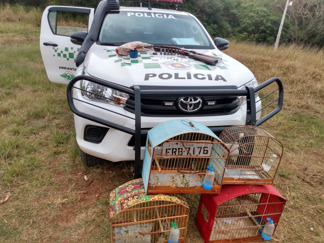 Polícia Militar Ambiental apreende armas e aves, além de animal abatido em propriedade rural em Rancharia Polícia Militar Ambiental apreende armas e aves, além de animal abatido em propriedade rural em Rancharia
