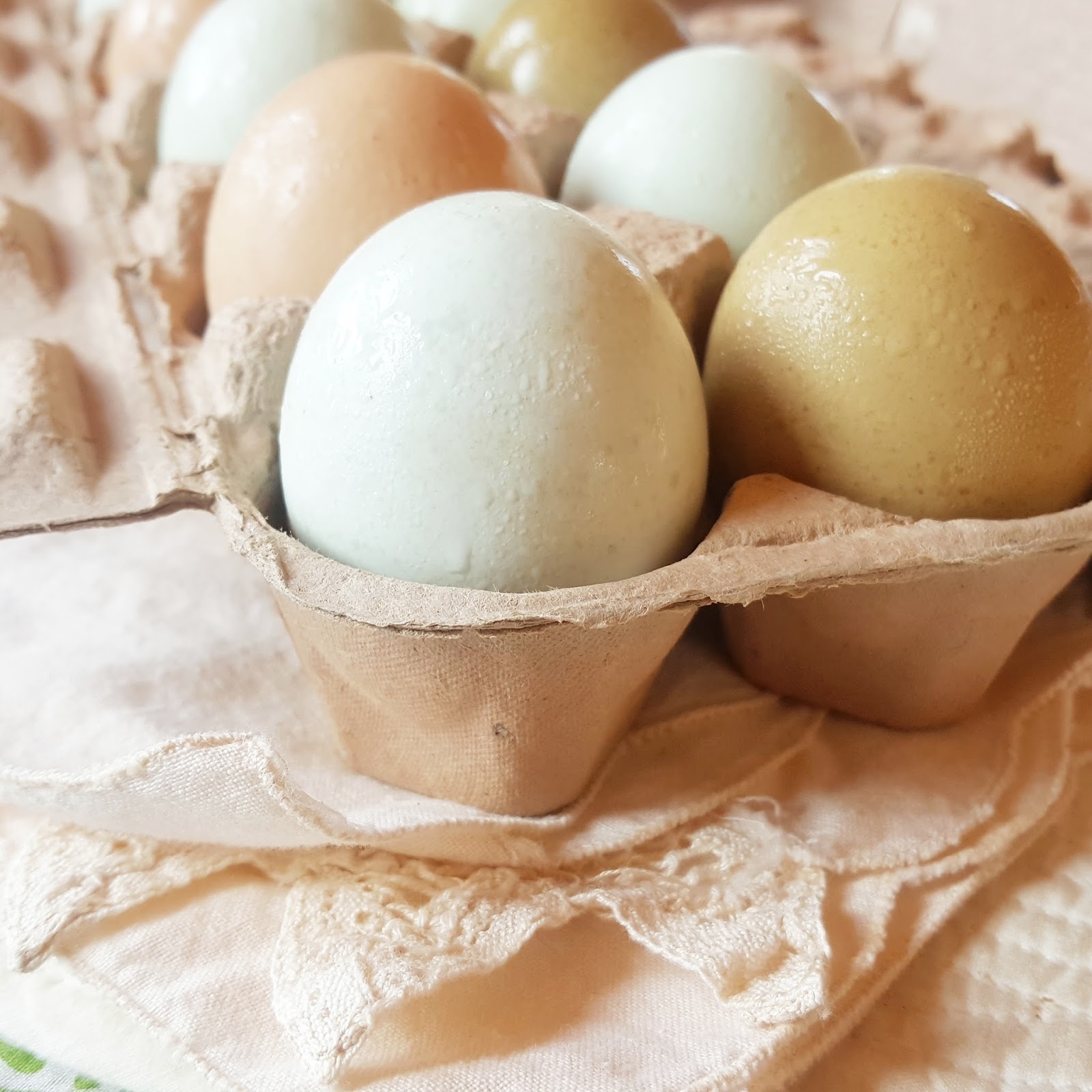 Eggshell Anatomy:  A Closer Look At Nature'S Perfect Package - mqvdvmd