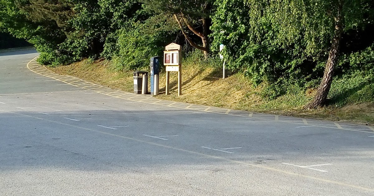 Llanblogger contact Excouncillor's solution