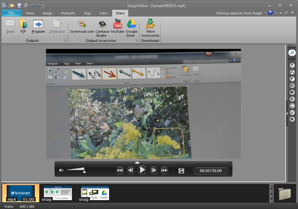 snagit 9 vs snagit 12 snagit 9 vs snagit 12