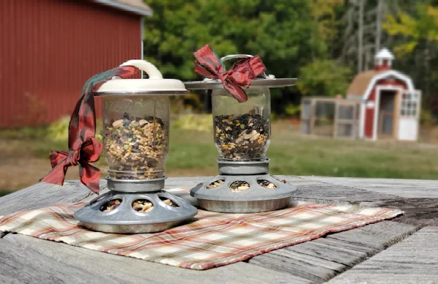 mason jars on picnic table filled with birdseed