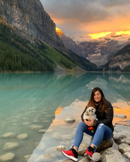 How To Travel With Your Dog To Canada Where In Bacolod