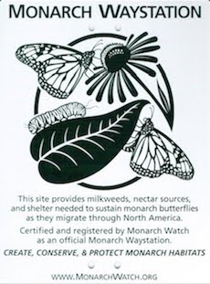 Monarch Watch