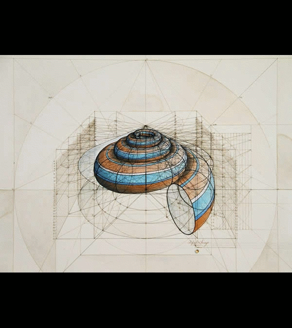 05-Small-Shells-Artist-Rafael-Calculation-Mathematics-and-Art-CAD-www-designstack-co