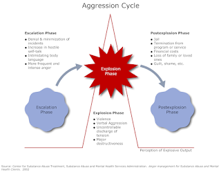 The Aggression Cycle دورة العدوان