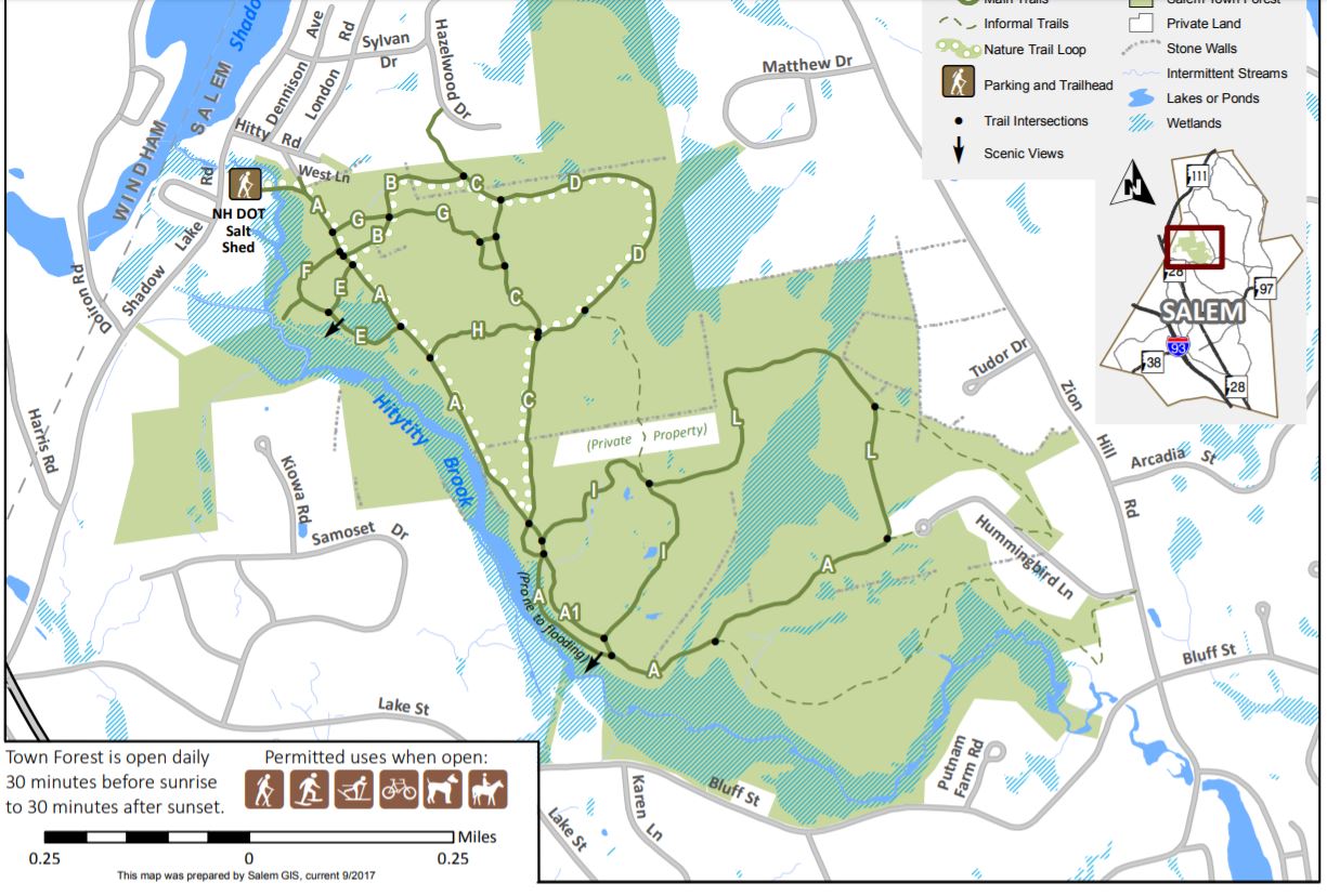 double d mountain runner Salem Town Forest