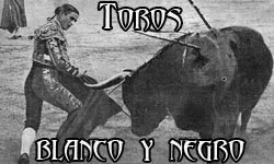 Todo sobre "Los Toros".