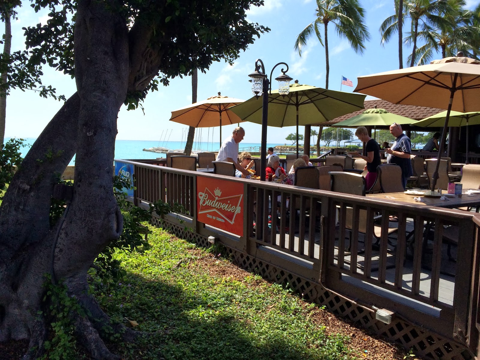 GREAT EATS HAWAII SAM CHOY'S ISLAND STYLE SEAFOOD GRILLE AND HAPA BAR