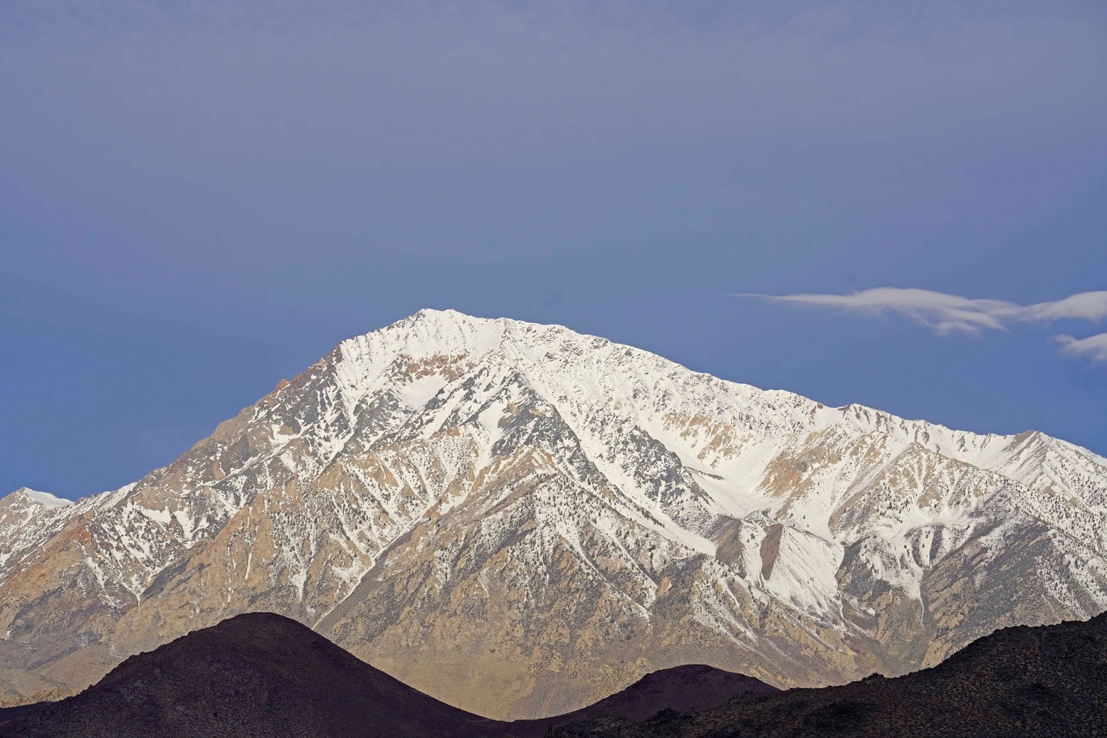 Mid Sierra Musings The CA Area And Bighorn Sheep