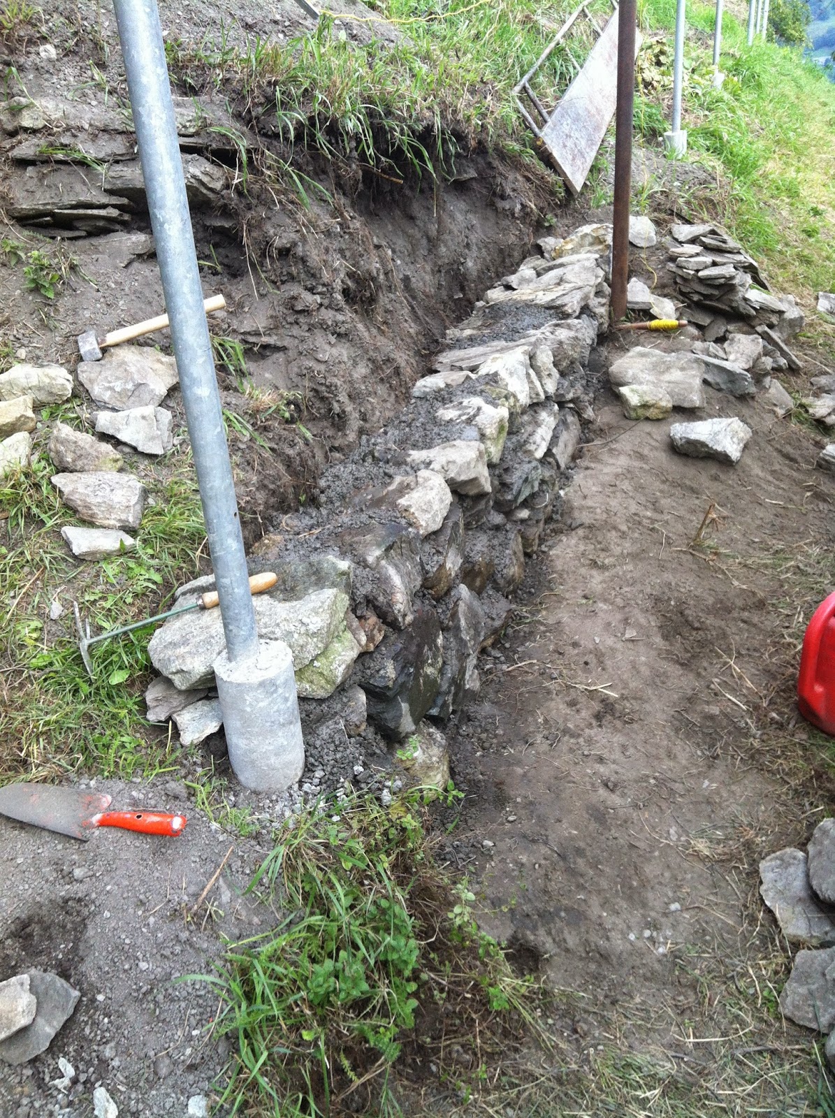 Mein Paradiesgarten: 2014