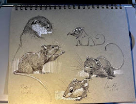 04-Rodent-Drawing-study-Aaron-Blaise-www-designstack-co