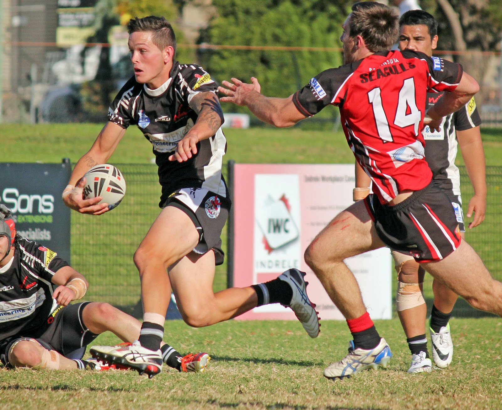 Ron Massey Cup and True Blue Chemicals Sydney Shield