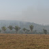 Incêndio devasta parte da vegetação do Parque Serra dos Parecis em Guajará-Mirim, RO