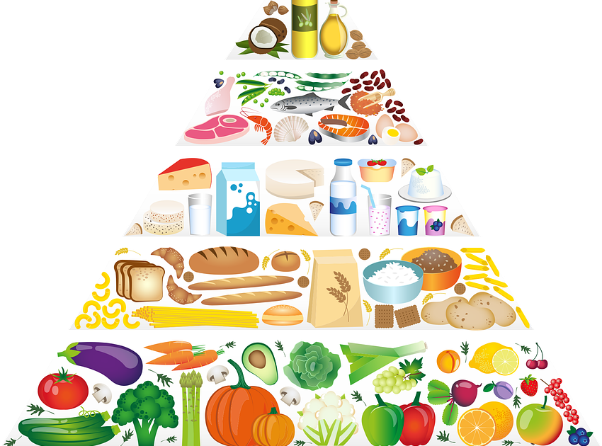 Food Pyramid , Eating Healthy, Lifestyle