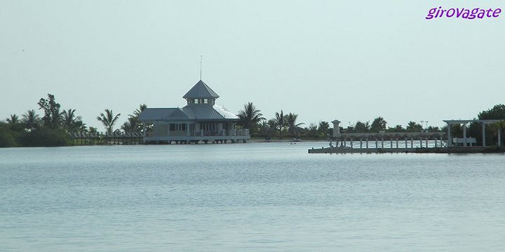 delfini escursione Varadero