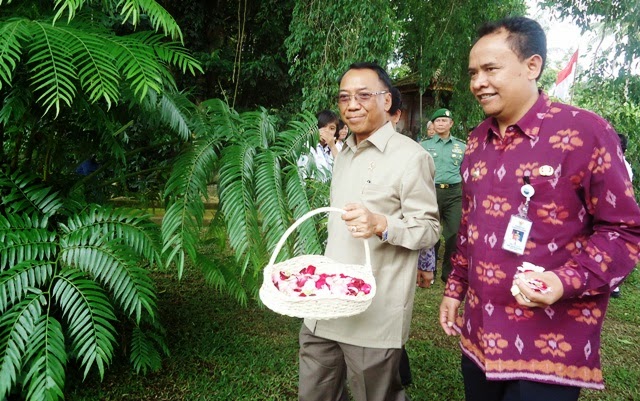 Jam Terbang Tinggi Antarkan Jero ke Senayan