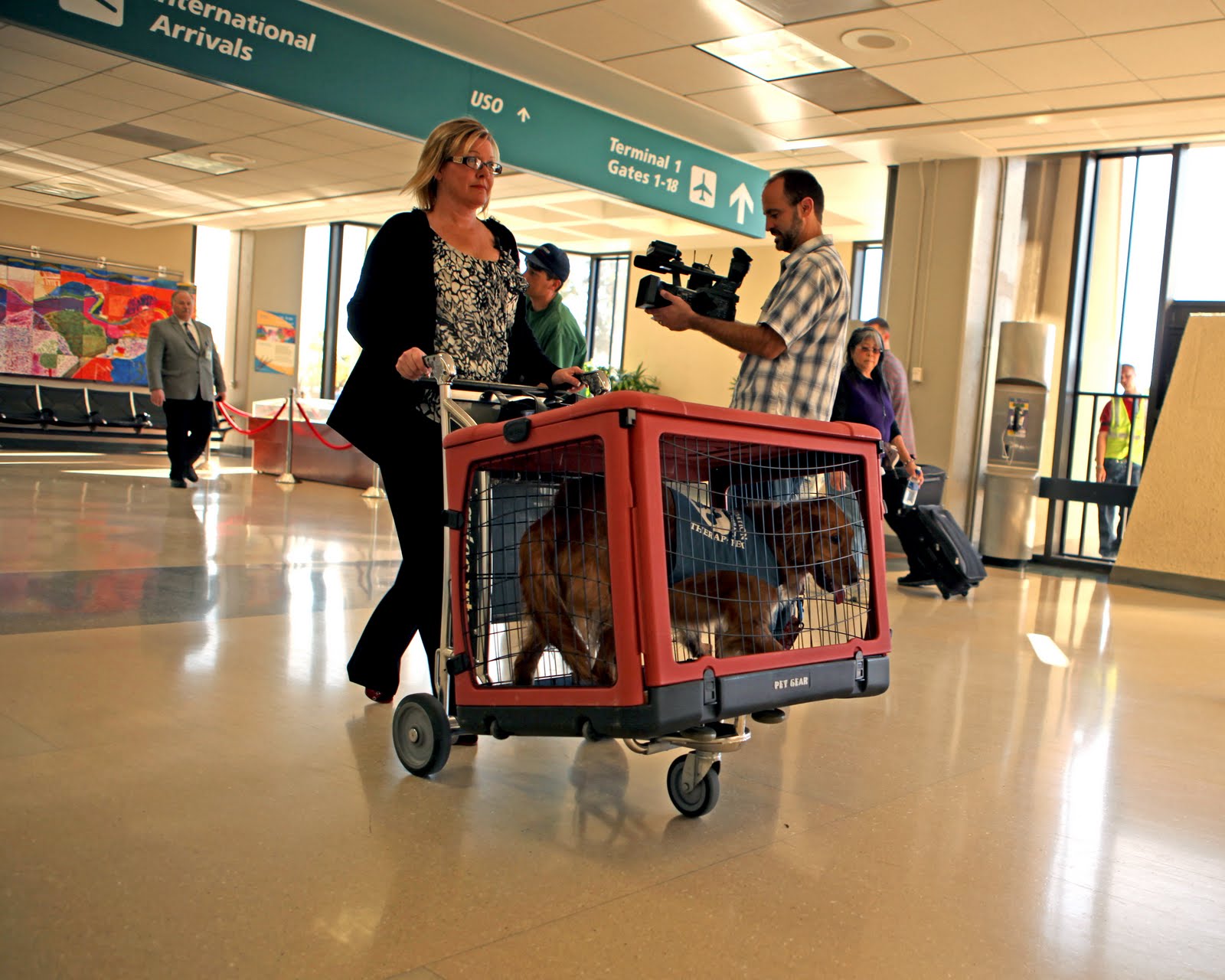 Bark Buckle UP San Diego International Airport launches the National tour of Pet Travel Safety Tips