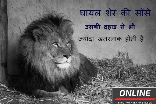 Ghayal Sher - Online Hindi Whatsapp Status