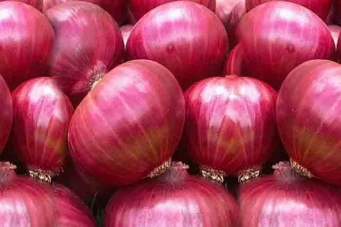 News, National, Mumbai, Maharashtra, Price, Onion, Onion prices, Rise, Farmer Strike, Rain,