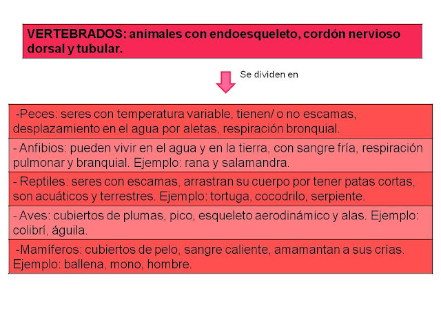 Pedagogía: Los reinos de la biología