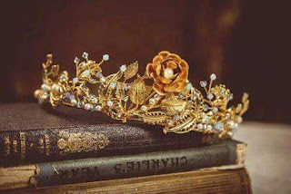 shof_9df4286d42fab09