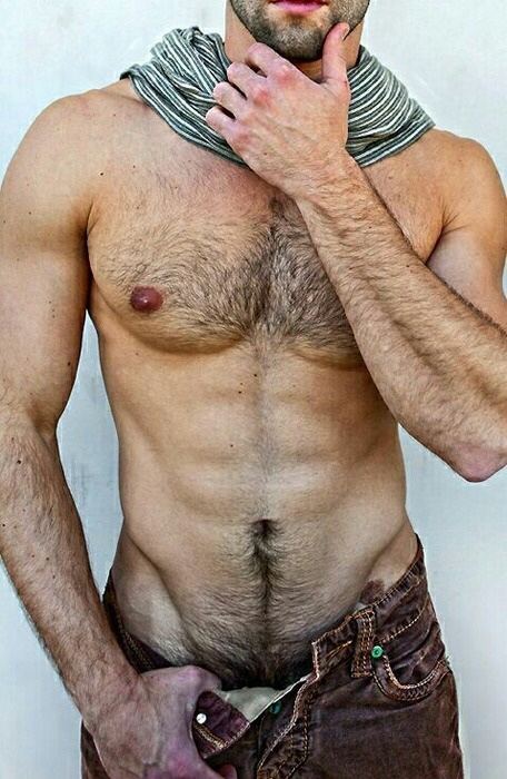 hairy%2Bchest%2B%252819%2529.jpg