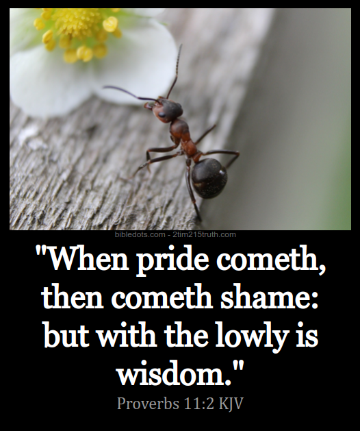 2 Timothy 2:15 Truth: Verse of the Day: Proverbs 11:2 KJV