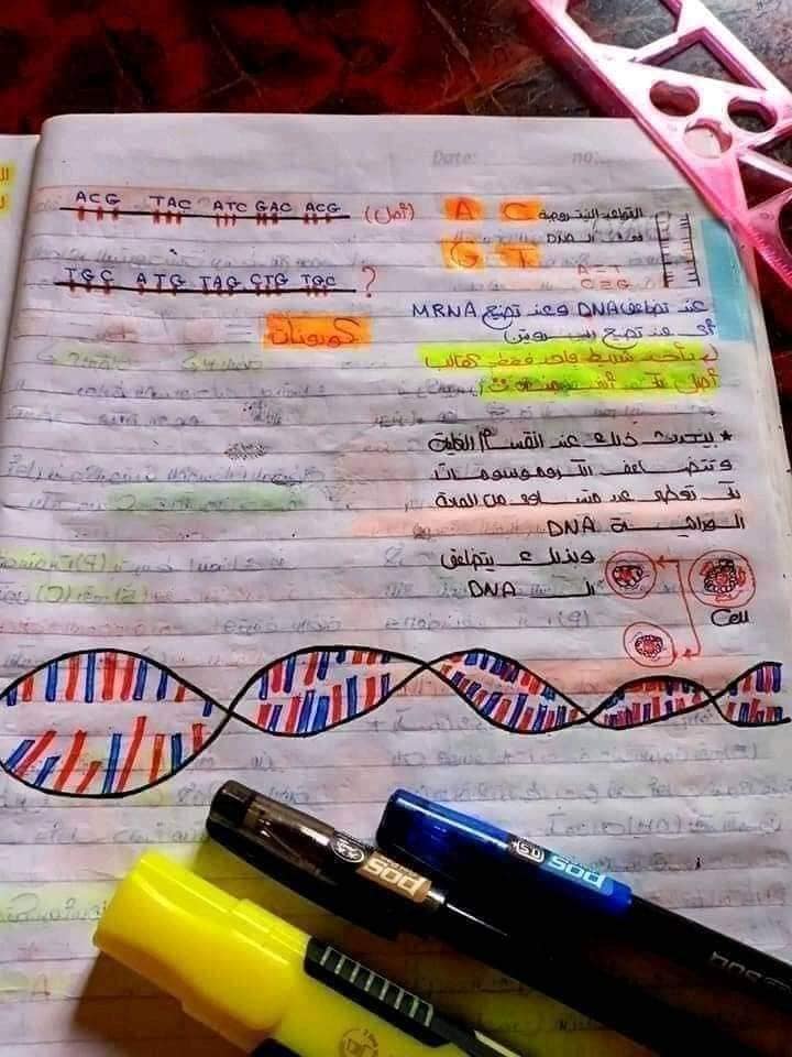 اقوي ملخص DNA تالته ثانوي