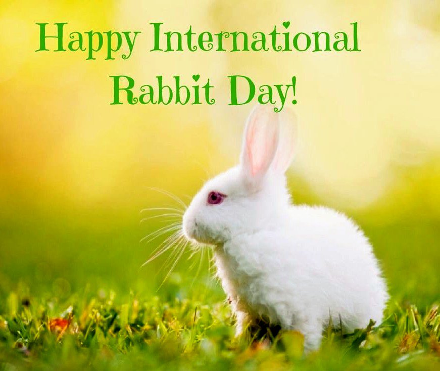 International Rabbit Day 25 September 2021 CURRENT AFFAIRS (CA