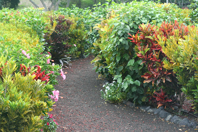 WORMS 'n RADISHES, FLOWERS, FRUITS 'n TREES: PALEAKU GARDENS PEACE