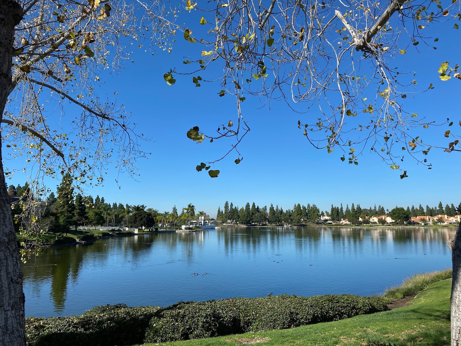 Looking for Lakes Eastlake