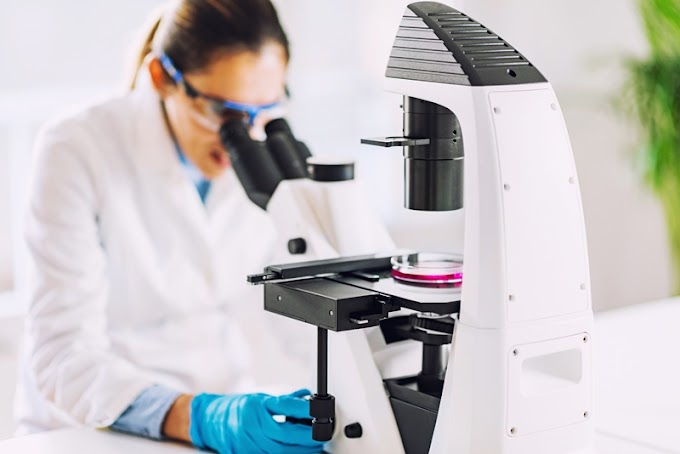 Bagaimana otak manusia memprediksi masa depan 