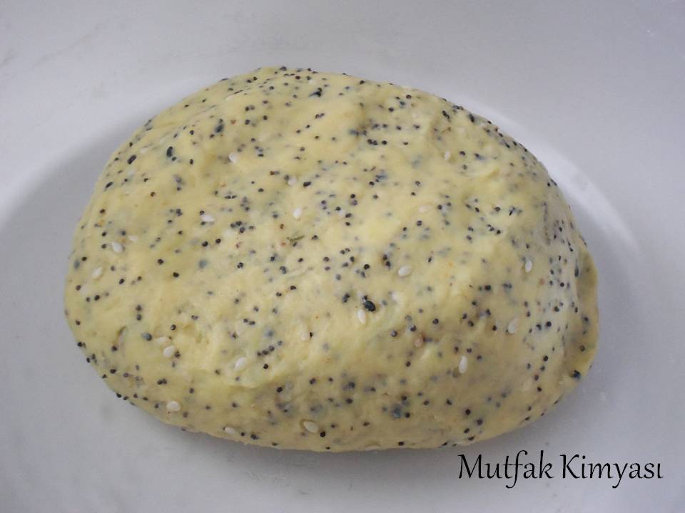MUTFAK KİMYASI EKŞİ MAYALI KRAKER KABARTMA TOZU KULLANMADAN TUZLU