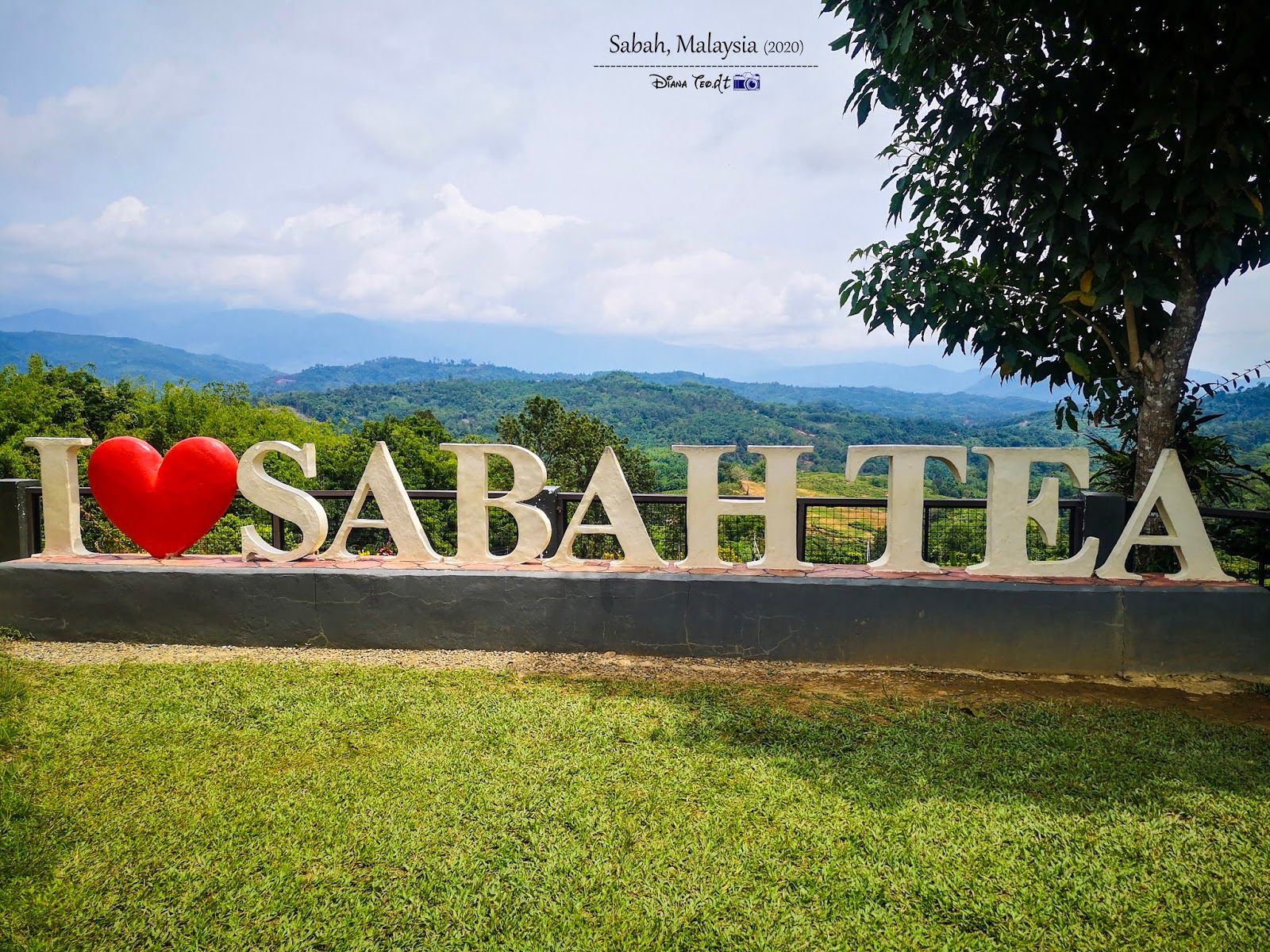 It's About Green in Sabah Tea Resort ~ Travel & Living Journal of DT