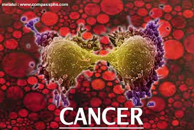 13 Penyakit Paling Berbahaya dan Mematikan di Dunia