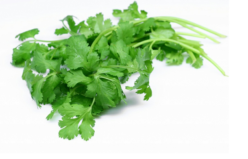 shivoham iam shiva blessing for eye sight