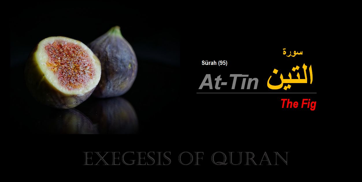 Sūrah AtTīn " التين " is the 95th sürah with eight ayahs, part of the