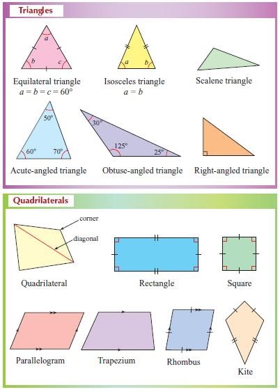 MISS DHIRA: POLYGONS - TRIANGLES AND QUADRILATERALS