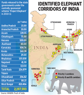 Animal Rights India: Making way for India’s elephants