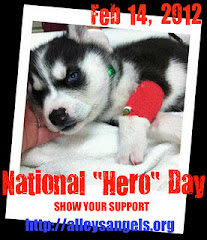 Hero Day - February 14, 2012