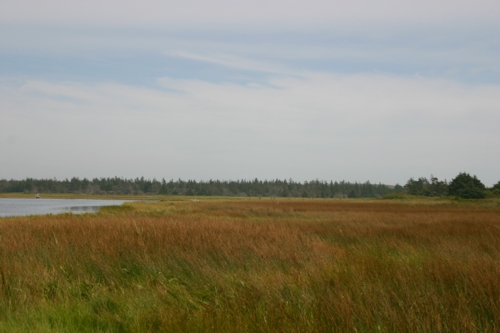 Conrad Beach, N.S. Conrad Beach, N.S.