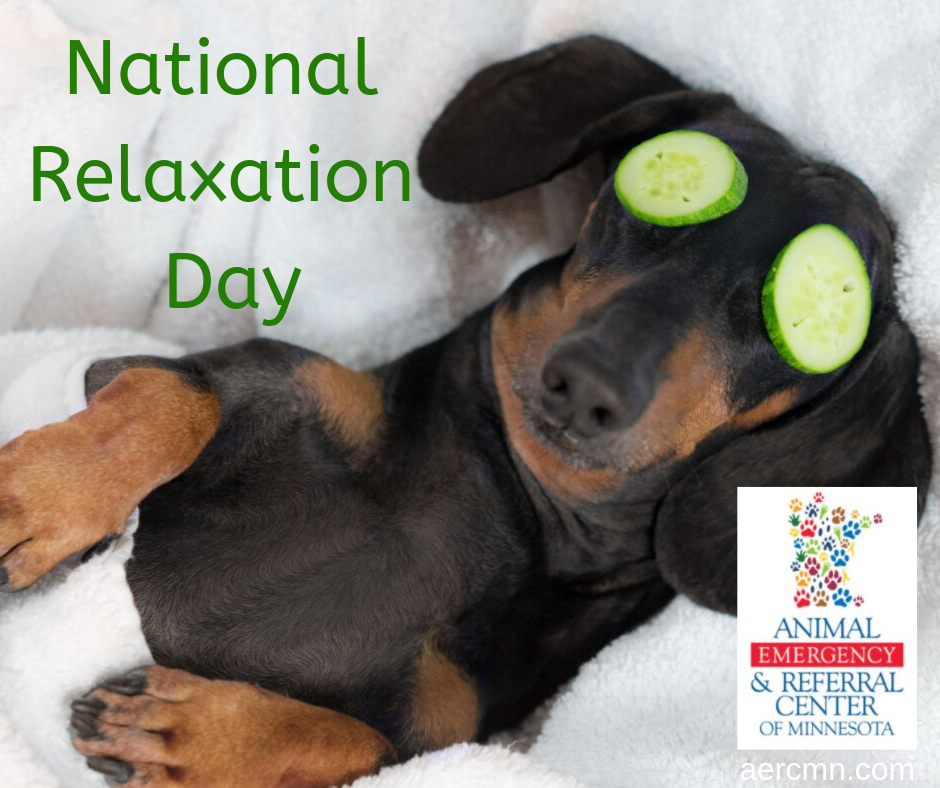 National Relaxation Day