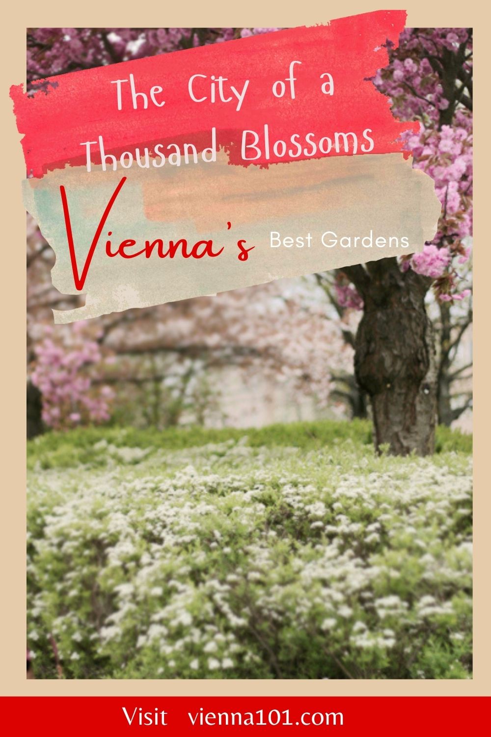 Vienna's floral display may pale in comparison to other bigger cities. Here are some of the spots in Vienna where the flowers are in full bloom come spring.