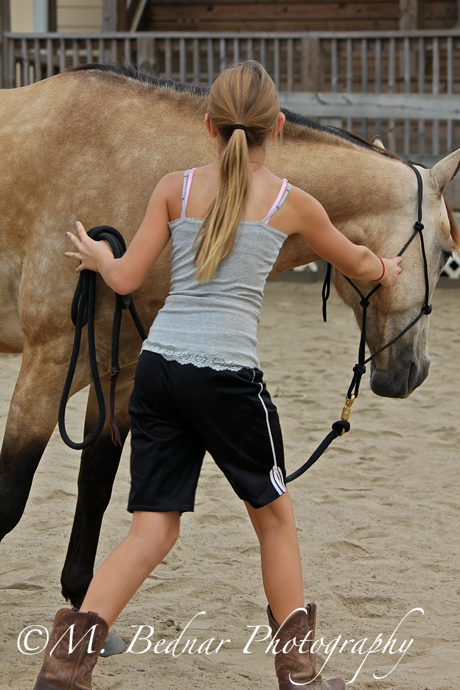 Just Horses Natural Horsemanship Our first initial steps